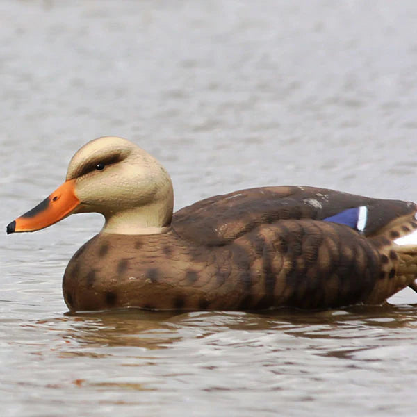 Mallard Duck Decoys (6 Pcs) – Realistic Waterfowl Hunting Essentials