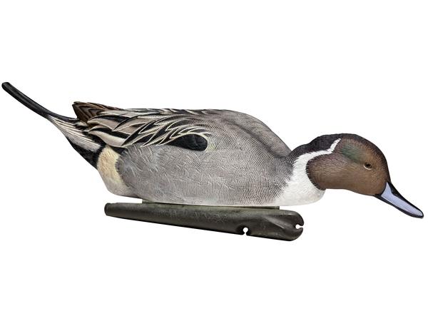 Pintail Duck Decoys (6 Pcs) – Realistic Waterfowl Hunting Decoys for Maximum Attraction