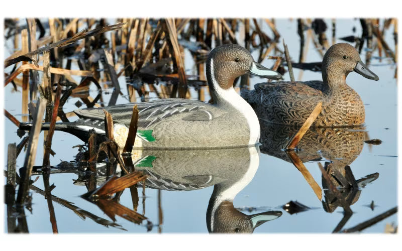 Decoys