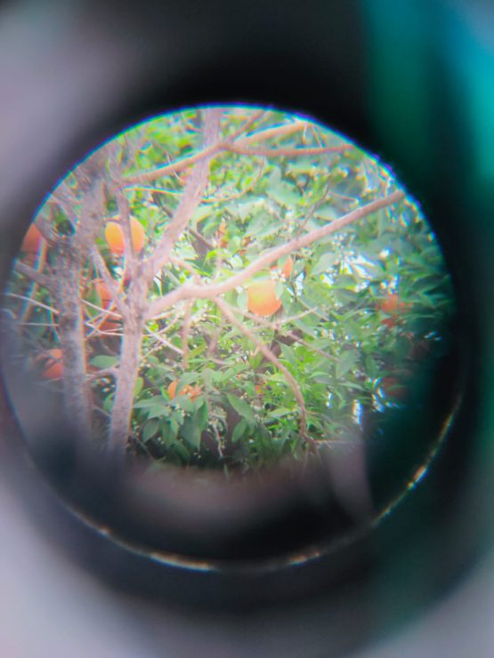 Bushnell 16x52 Monocular Telescope Lens – Compact & Powerful Optics
