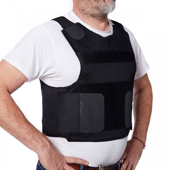 VIP Protection (Point Blank ) USA